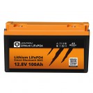 Obrázek zboží Lithium LiFePO4 LX Smart BMS 12.8V 100Ah